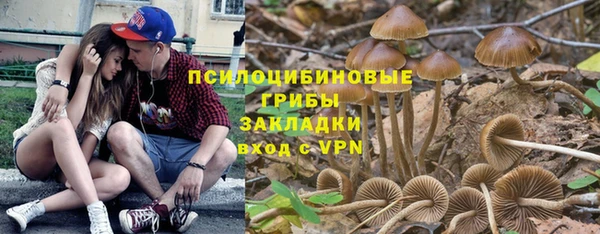 МДМА Каменногорск