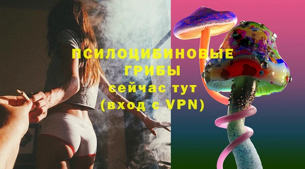 стаф Иннополис