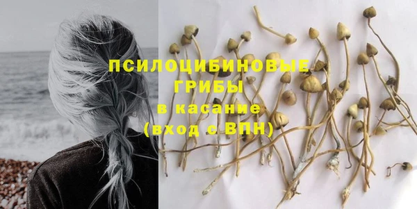 МДМА Каменногорск