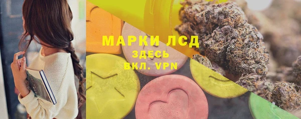 эйфоретик Щигры